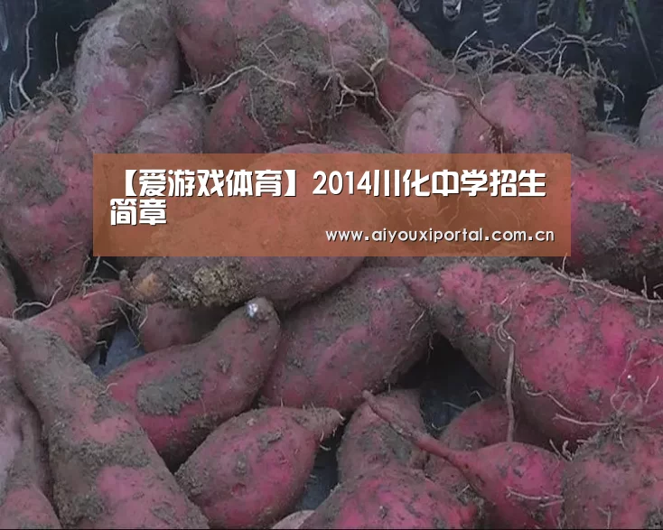 【爱游戏体育】2014川化中学招生简章(图2) 【爱游戏体育】2014川化中学招生简章(图2)
