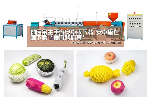 爱游戏体育