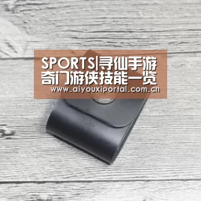 SPORTS|寻仙手游奇门游侠技能一览 奇门游侠技能介绍(图1) SPORTS|寻仙手游奇门游侠技能一览 奇门游侠技能介绍(图1)